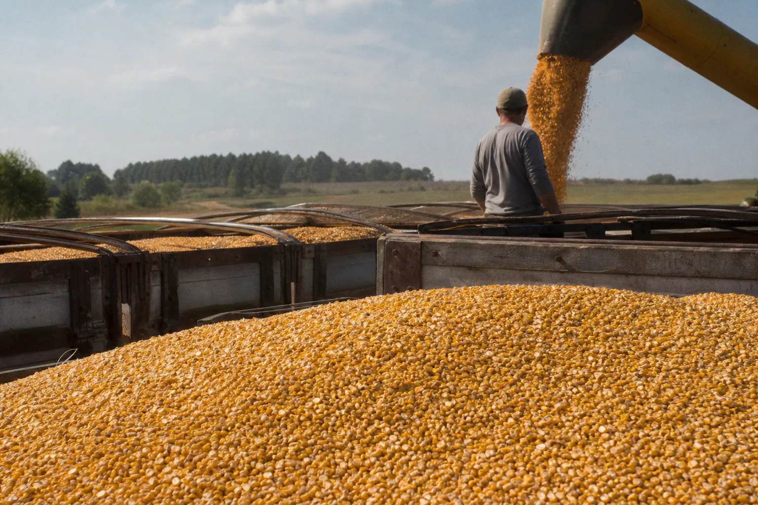 Corn Price - Commodities CFD Trading